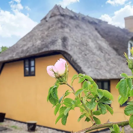 6 Person In Rudkøbing