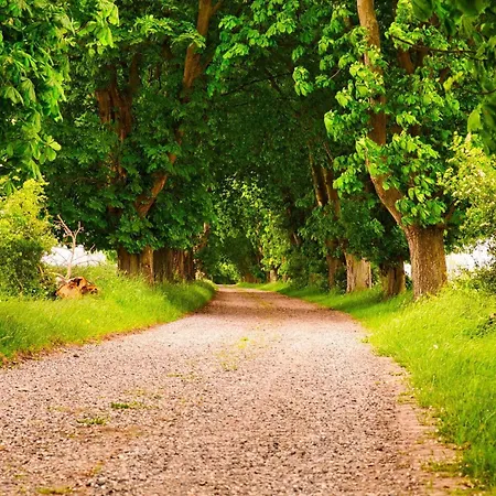 Dom wakacyjny 6 Person In *