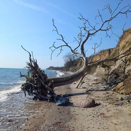 Dom wakacyjny 6 Person In